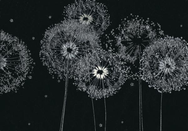 Pusteblume